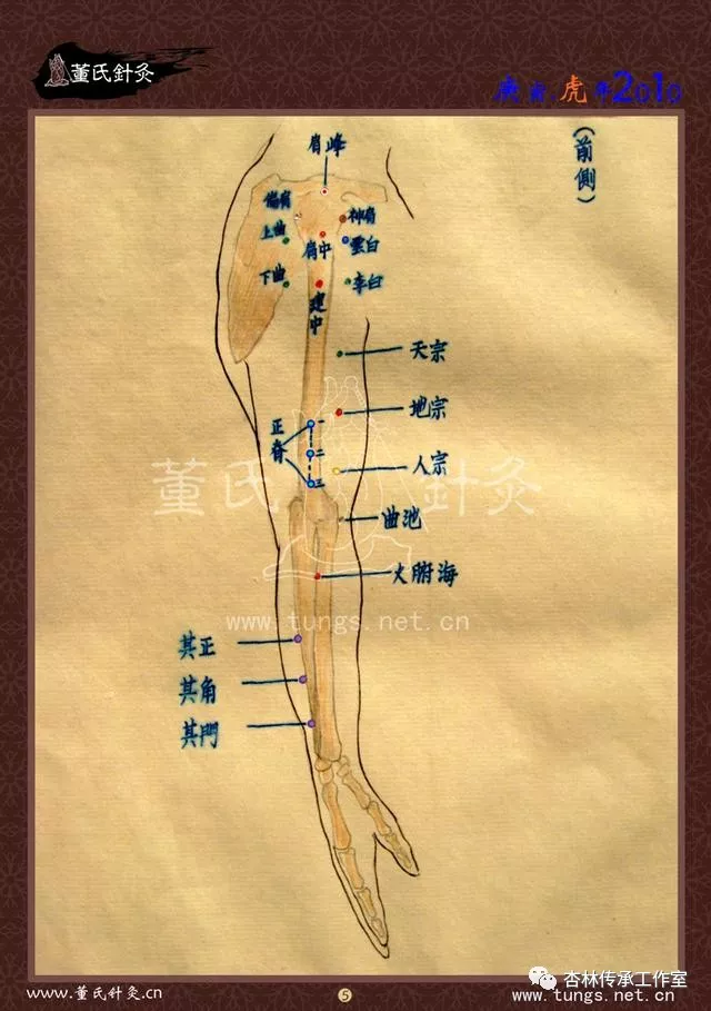 董氏奇穴特针赋及穴位图谱大全_肾关