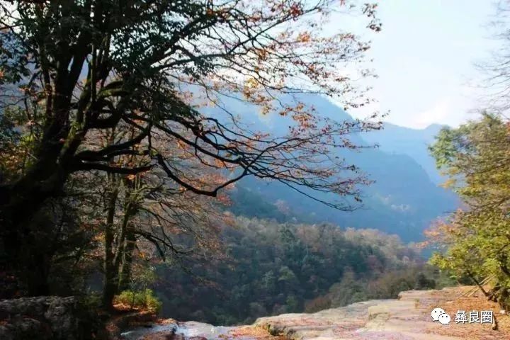 春赏花秋观叶，四季美景各有千秋，春赏花秋观叶