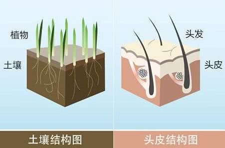 90后的欧阳娜娜、林允、郑爽，都在这个问题上输给了40岁的刘涛！