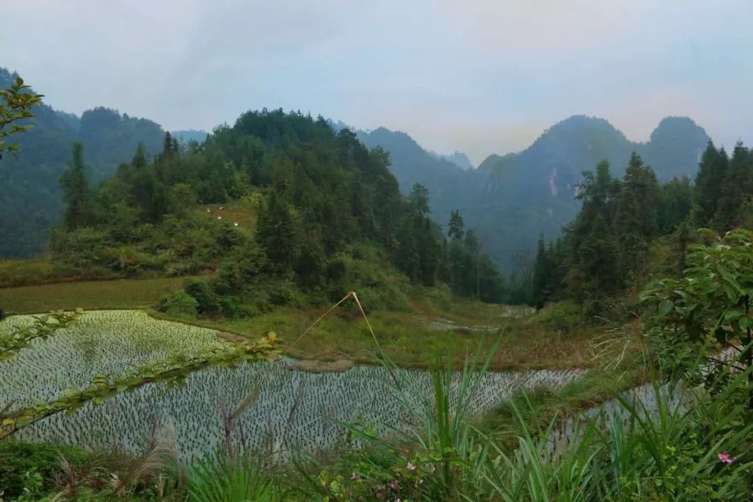 精准扶贫感动中国十八洞村改造提质进行中