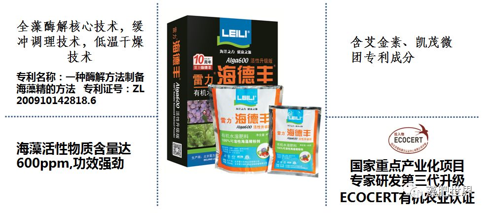 改造低效益柑橘园系列官宣雷力newag果树种植养护和管理会议报告划