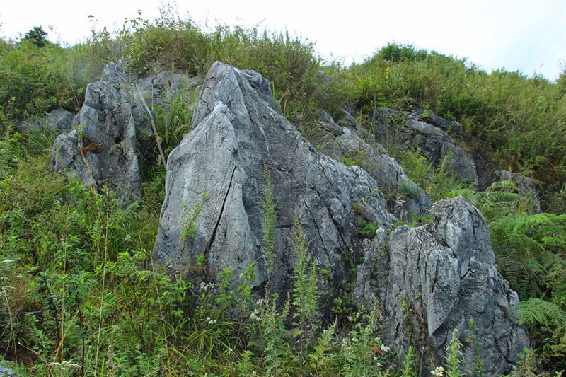 秦岭深山发现西北罕见的喀斯特地貌