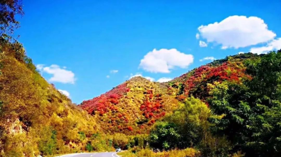 灵宝寺河山天之蓝杯骑跑赛周六开跑