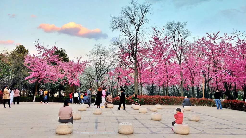 宣威市区景点之两山两园_公园