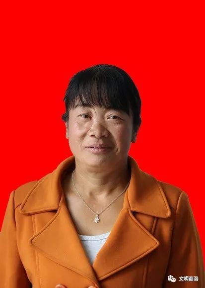 "十大孝子"事迹简介张桂兰 女 柞水县下梁镇沙坪社区七组居民刘小娟