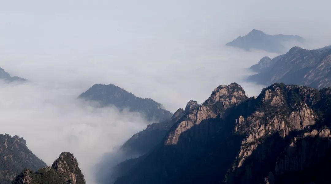 我见青山多妩媚