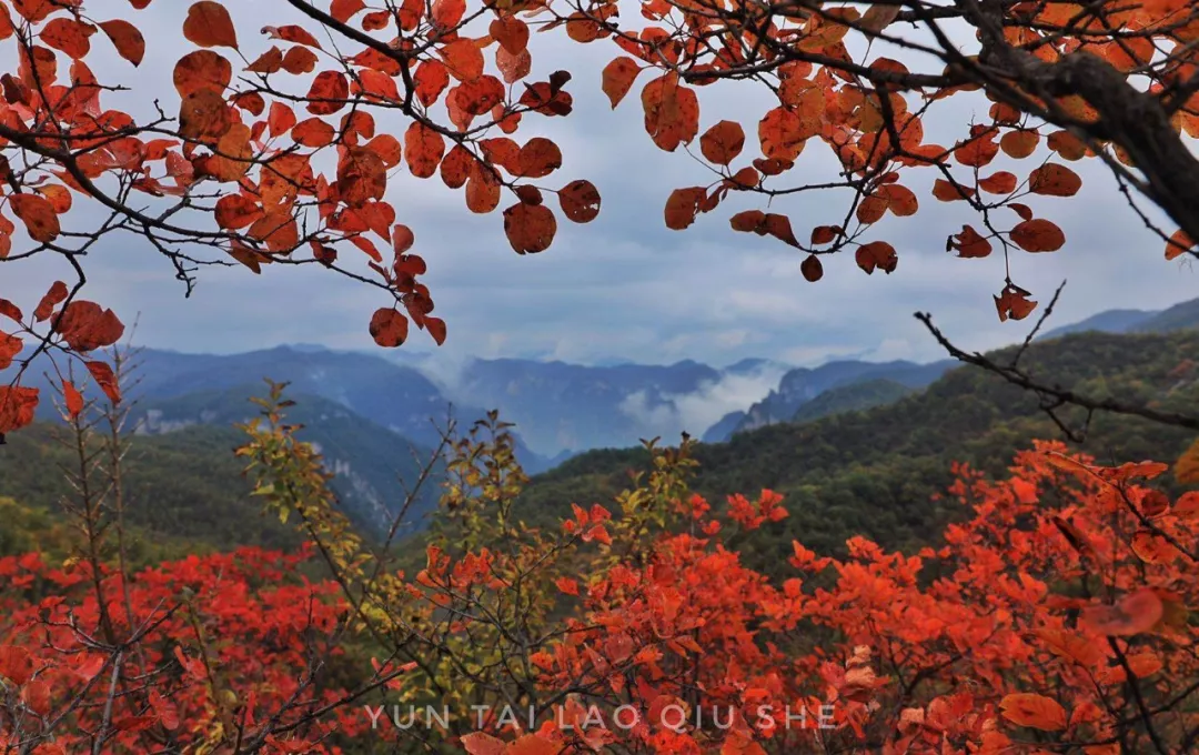 直达,云台山站下站即可~自由侠乘车1,乘坐郑焦城铁,到修武西站下车,车