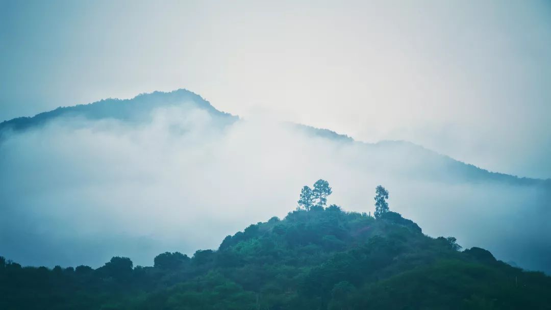 我见青山多妩媚