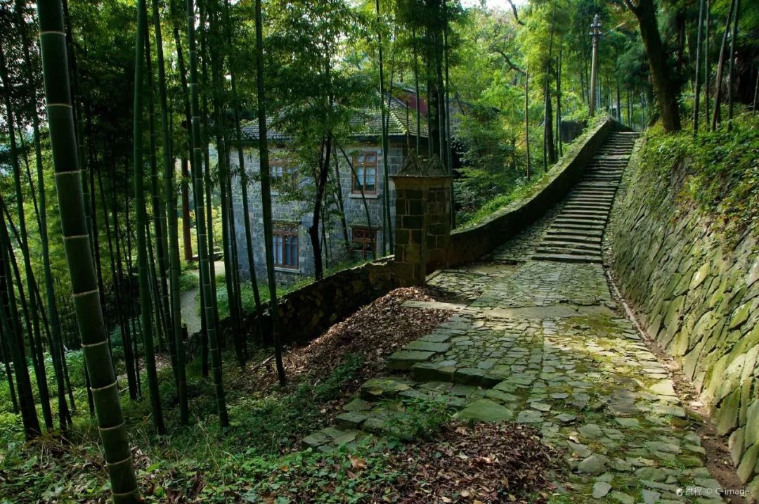 景点地址:浙江省湖州市德清县莫干山国家级风景名胜区; 开放时间