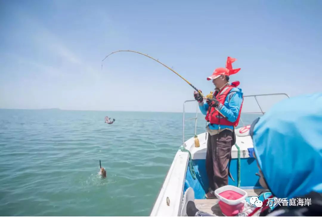 钓鱼海上梦见鱼_梦见海上钓鱼_钓鱼海上梦见好多鱼