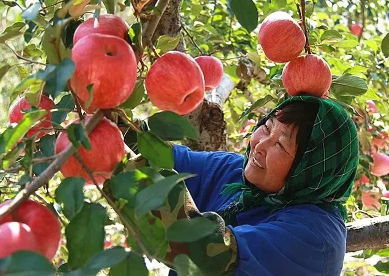 大丰收,看完太开心了!