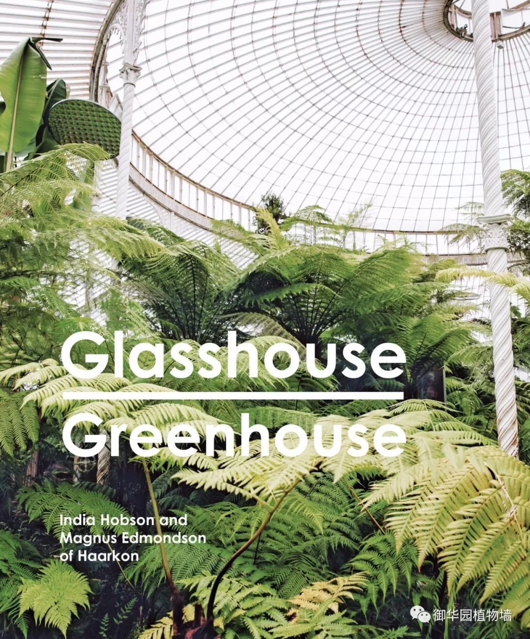 新书推荐 ┃《glasshouse greenhouse》,一本关于温室