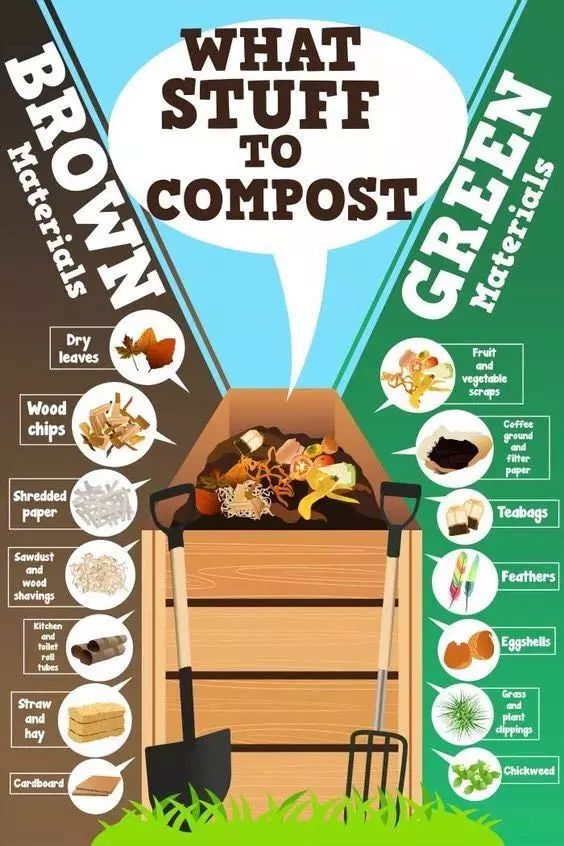 where-to-put-compost-bin-tips-for-beginners