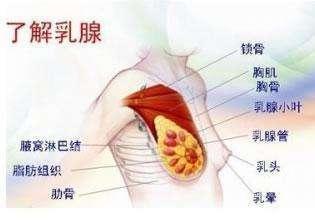 乳房有肿块是不是得乳腺癌了