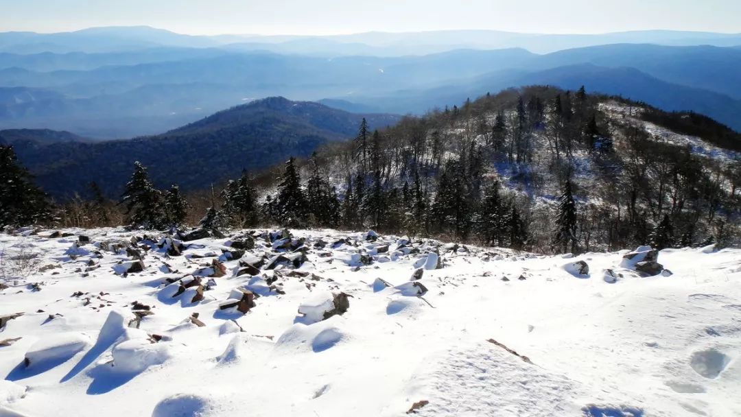 大东北雪山雪乡雪景直航六天自组特价团