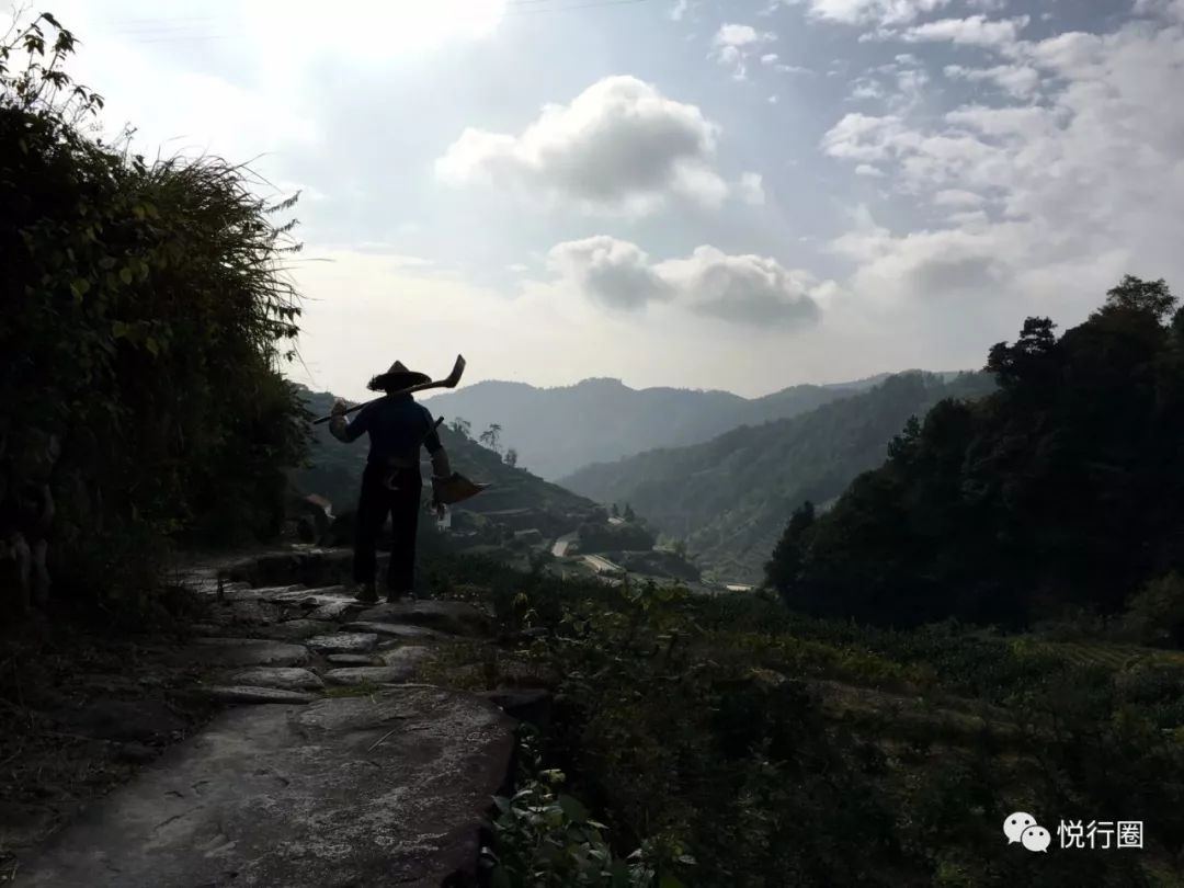 周末徒步1028号徒步春日西白山笑傲嵊州第一峰