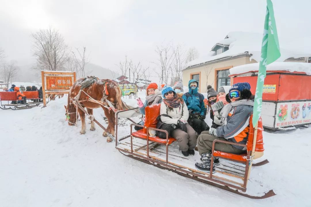 东北冰雪童话哈尔滨雪乡亚布力滑雪温泉雪地卡丁车马拉爬犁冰雪画廊