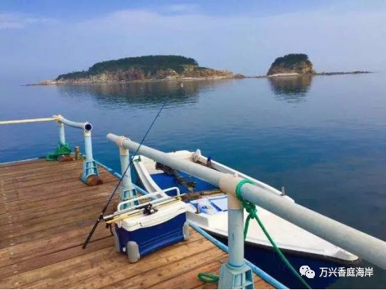 钓鱼海上梦见好多鱼_梦见海上钓鱼_钓鱼海上梦见鱼