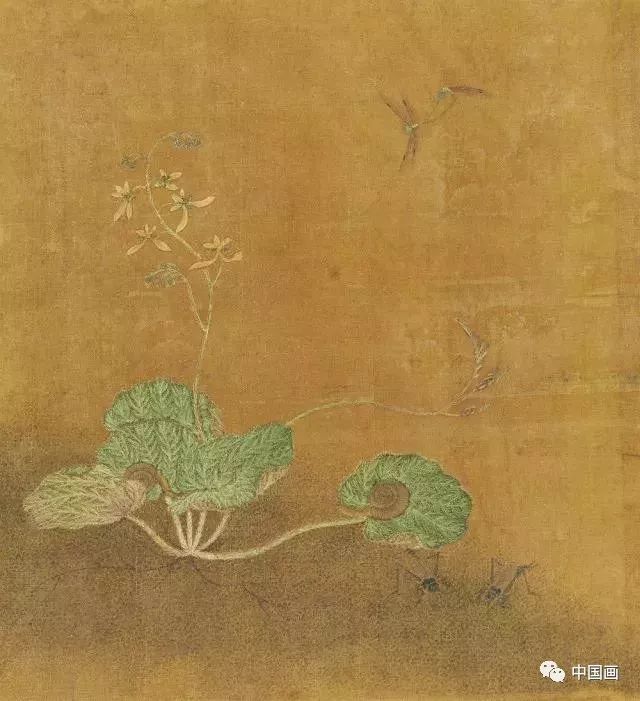 国画鉴赏|元代王渊《花卉草虫册》,堪称元代花鸟画巨擘