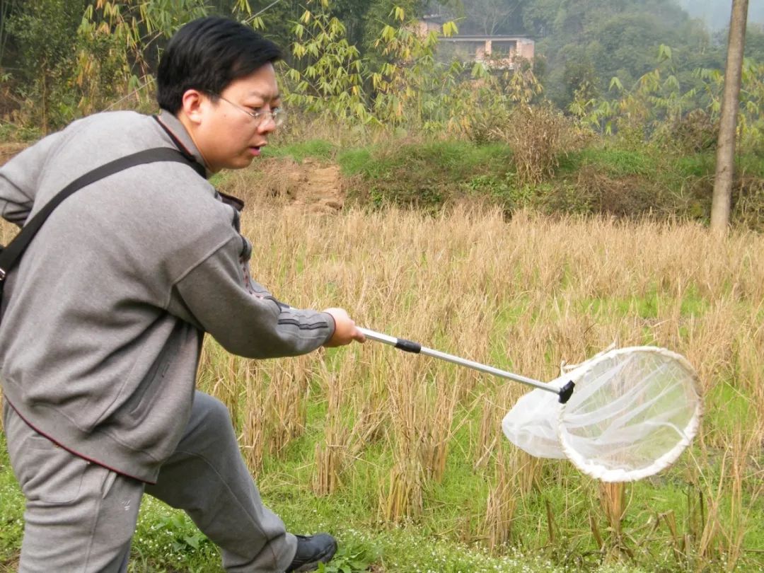 人物特写曹成全的昆虫记