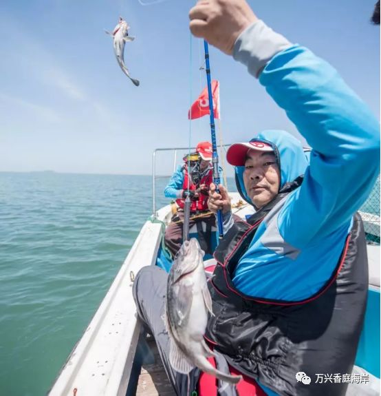 钓鱼海上梦见鱼_钓鱼海上梦见好多鱼_梦见海上钓鱼