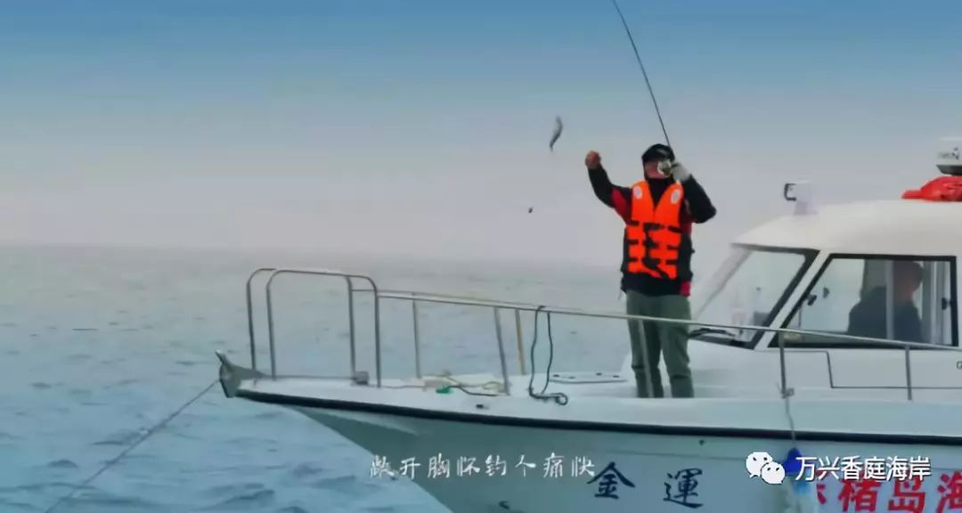 钓鱼海上梦见好多鱼_钓鱼海上梦见鱼_梦见海上钓鱼