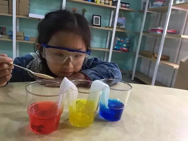 开团幼儿园必做15个经典科学实验不足100元就能在家做小小科学家