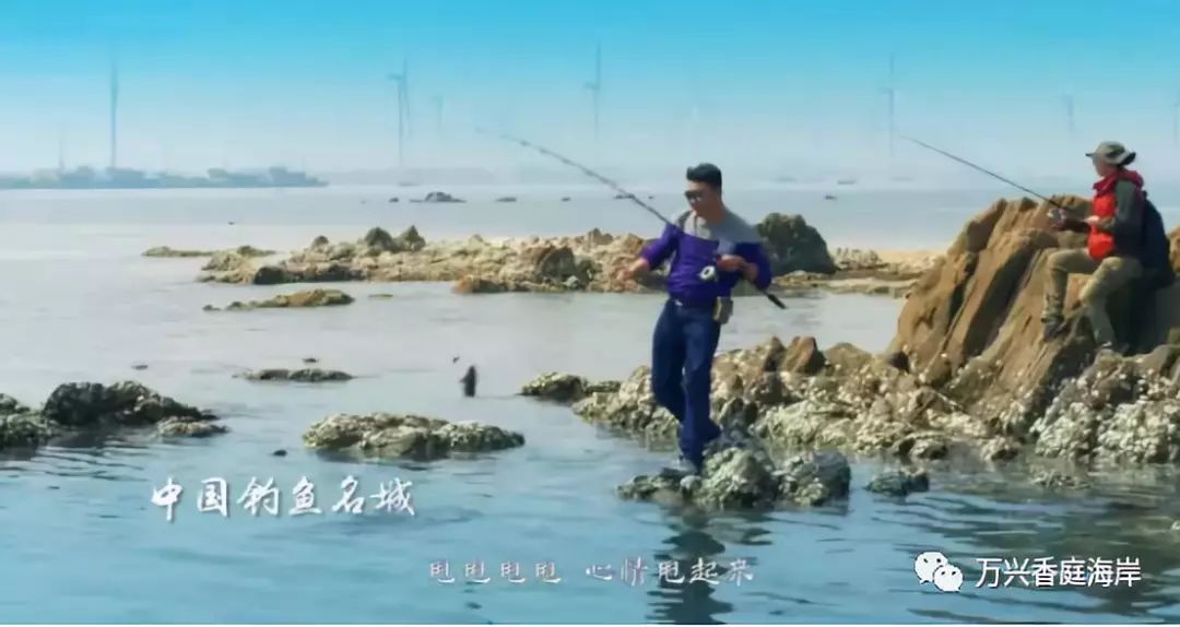 钓鱼海上梦见好多鱼_梦见海上钓鱼_钓鱼海上梦见鱼