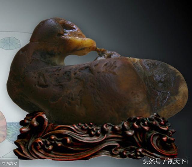 他们收藏的动物象形石惟妙惟肖,2.9亿多元的神龟在武汉亮相
