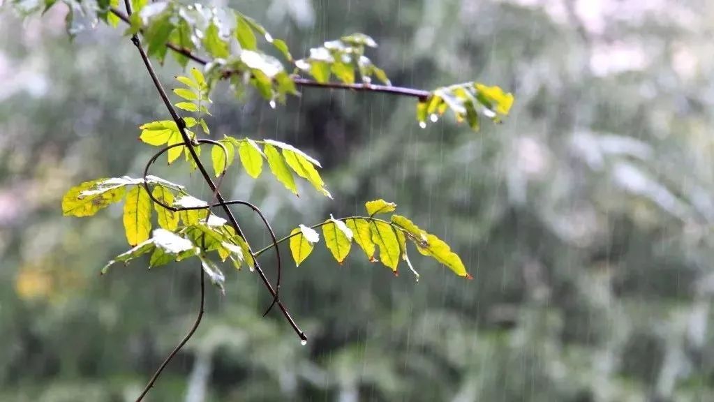 终于爱上你临武秋雨