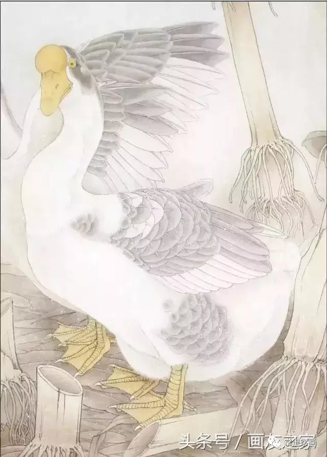 工笔国画作品局部解析——鹅