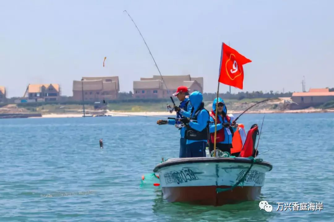 钓鱼海上梦见好多鱼_梦见海上钓鱼_钓鱼海上梦见鱼