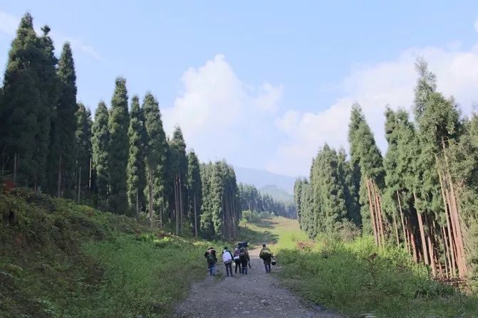 崇州鸡冠山