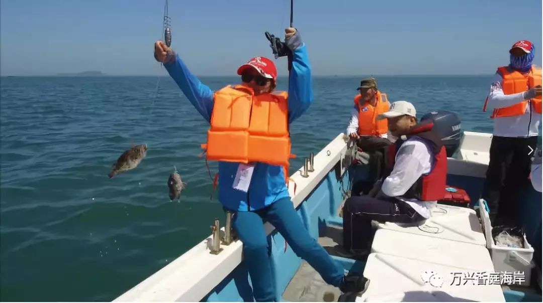 钓鱼海上梦见鱼_钓鱼海上梦见好多鱼_梦见海上钓鱼