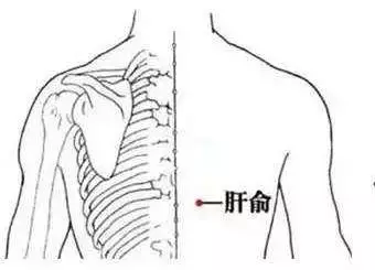 多按护肝穴位——肝俞穴