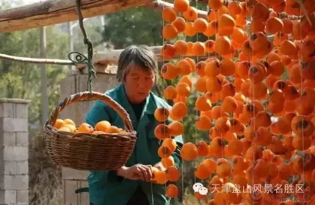 擴散 | 盤山紅葉節來了！一起去邂逅絢爛的極致秋色！ 旅行 第14張