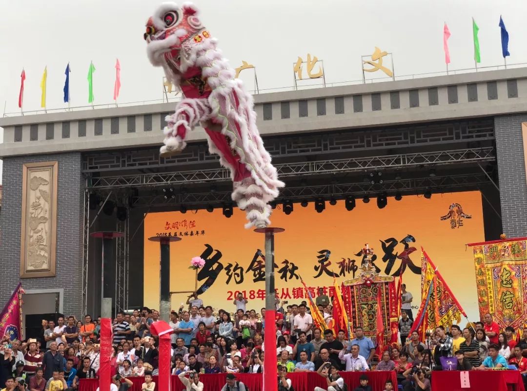 乐从镇龙狮训练协会,佛山忠义堂等八只龙狮队伍参赛