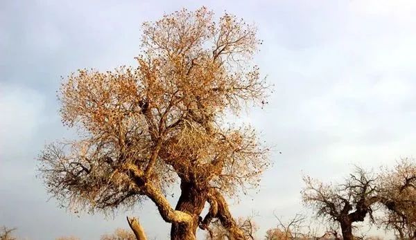 月薪万元,可能零纳税!个人所得税抵扣细则来了