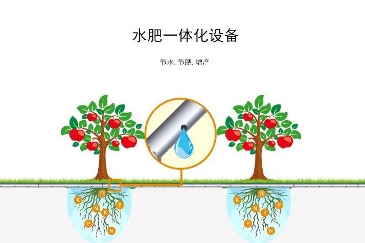 水溶肥在水肥一体化中的使用