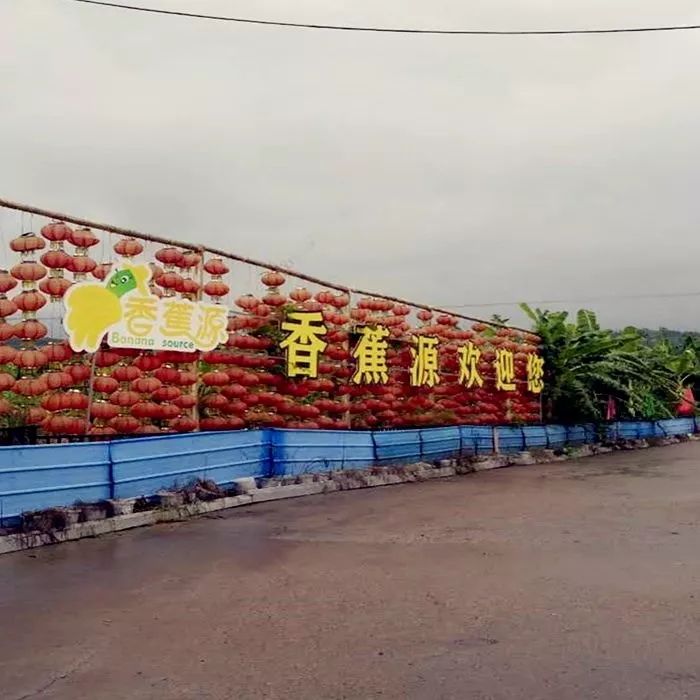 重庆永川何埂镇选出一乡一品品牌运营商
