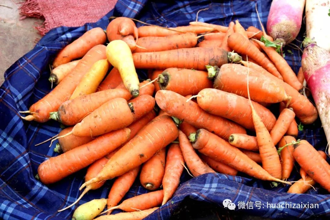 就越来越想念在华池生活的日子 今年华池的冬天冷吗 是不是买菜的城