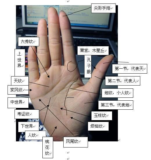 在对待爱情上也不太坚定,婚姻感情不顺