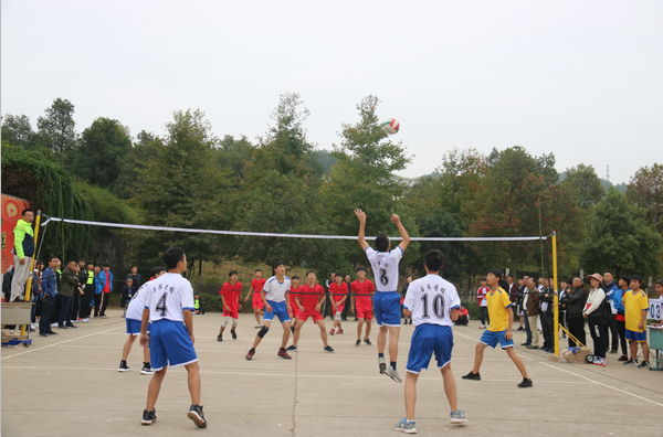 邵阳县2018年中学生排球运动会在石齐学校落下帷幕_比赛