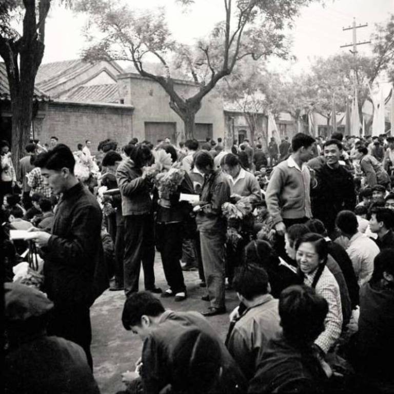 光影流年,1961年代的北京大学,老照片(2)