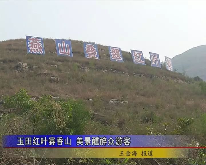 游客们秋来玉田县燕山叠翠谷,赏的是红叶,看的是美景,醉的是心灵.