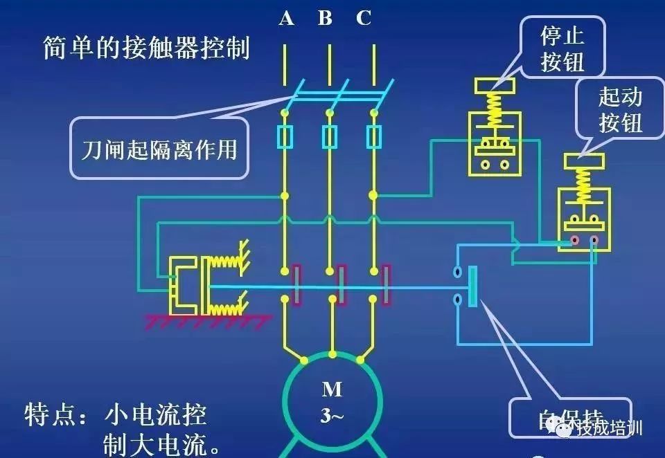 免费真人视频APP,成人影院网