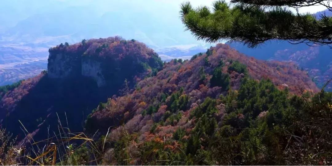 紫荆山自然生态景区