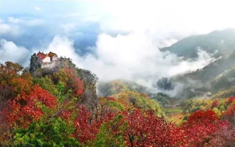 活动时间:10月中旬至11月底 活动地点:济源王屋山景区 活动内容:10月