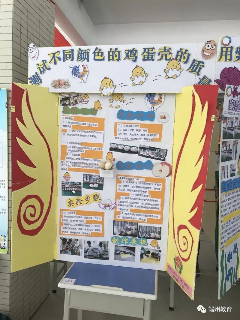 肇庆市第十五小学学生科技小论文作品展板