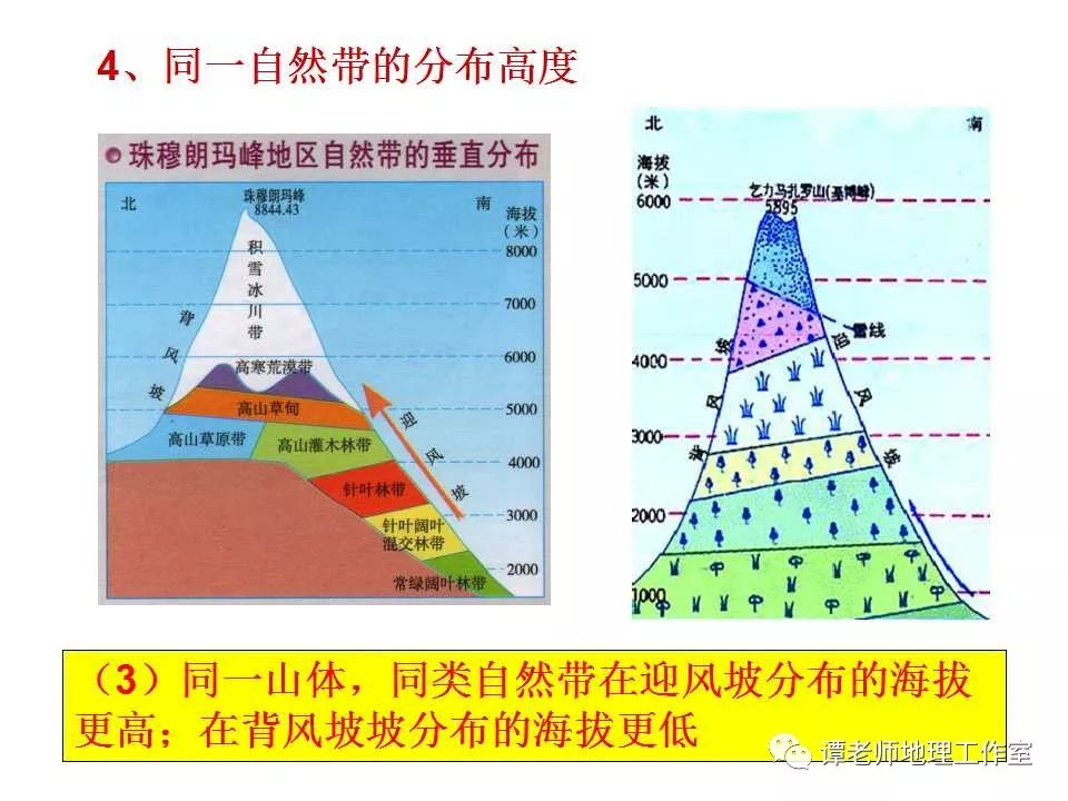 微专题垂直自然带雪线与林线